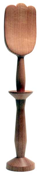 tulip